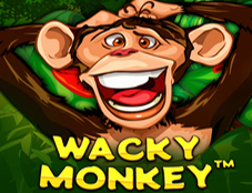Wacky Monkey
